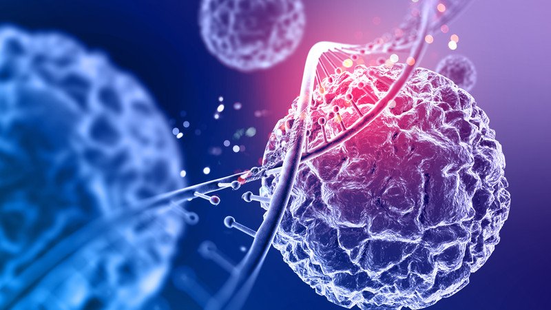 Tác động của việc tiêu thụ quá nhiều món nướng đối với sức khỏe