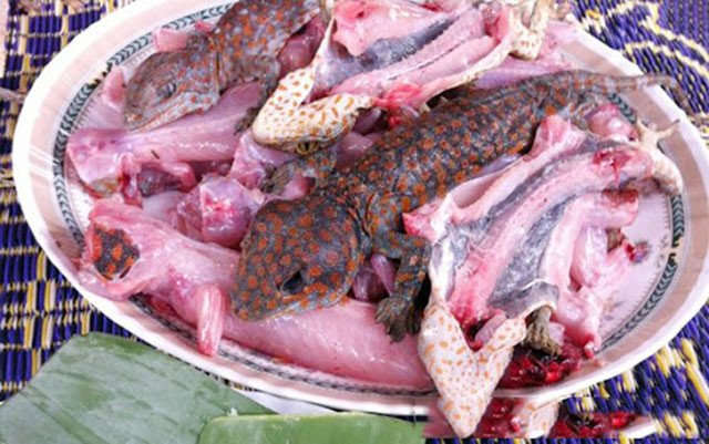 Cách Làm Thịt Tắc Kè Ngon Chuẩn Cho Sức Khỏe Tại Nấu Chuẩn Ăn Ngon Tắc kè tươi đã sơ chế sạch sẽ để chuẩn bị ngâm rượu