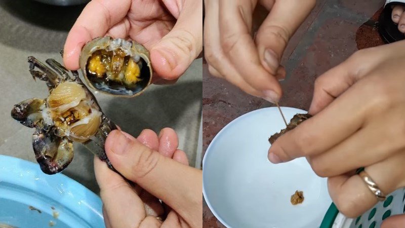 Tách mai cua và lấy gạch cua cẩn thận