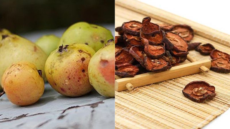Táo mèo tươi và khô