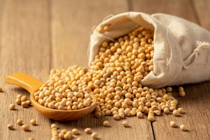 Tào phớ được làm từ hạt đậu nành tự nhiên giàu protein thực vật