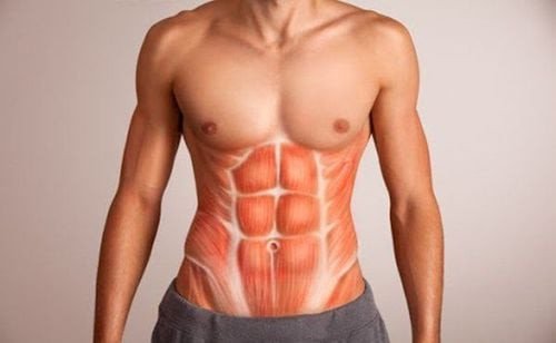 Tập tạ để xây dựng khối cơ bắp giúp đốt cháy calo hiệu quả hơn