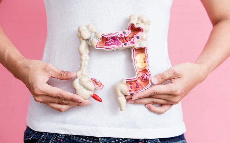 Thạch rau câu giúp cải thiện hệ tiêu hóa, hỗ trợ quá trình tiêu hóa thức ăn hiệu quả.