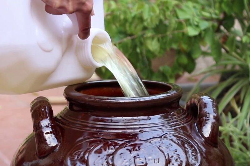 Than hồng giúp khử mùi rượu khê hiệu quả