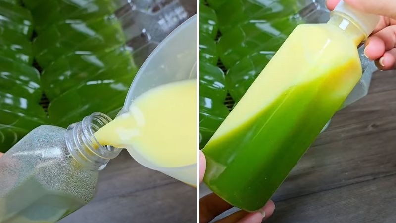 Thành phẩm sữa bắp lá dứa đã hoàn thành trong chai