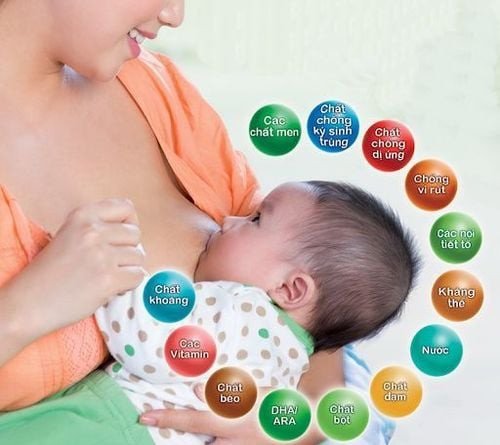 Thành phần dinh dưỡng đa dạng trong sữa mẹ giúp bé phát triển toàn diện