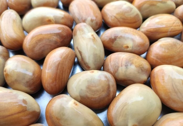 Thành phần dinh dưỡng và lượng calo trong hạt mít