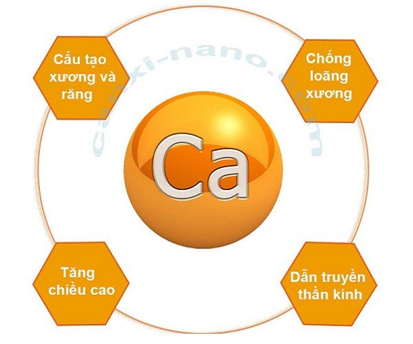 Thế hệ lớn tuổi và trẻ nhỏ với xương chắc khỏe nhờ bổ sung canxi từ sữa TH HILO, đồng thời quan tâm đến lượng calo.