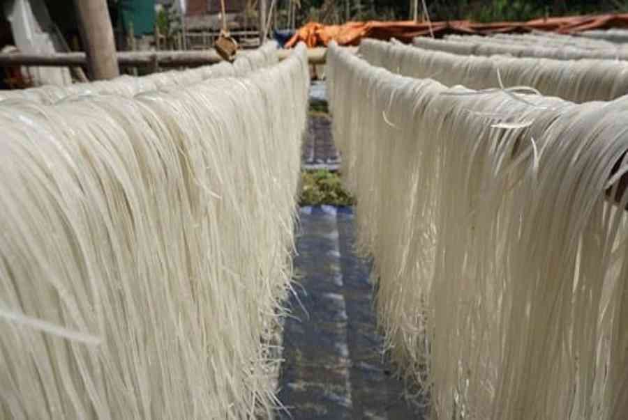 Thịt gà luộc xé sợi và rau sống tươi xanh