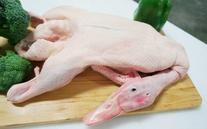Thịt vịt tươi sống và giá trị calo