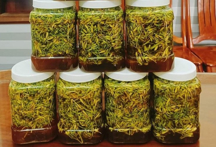 thời điểm uống nước hoa đu đủ đực tươi tốt nhất