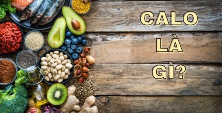 Thực phẩm chứa nhiều calo giúp cơ thể hoạt động