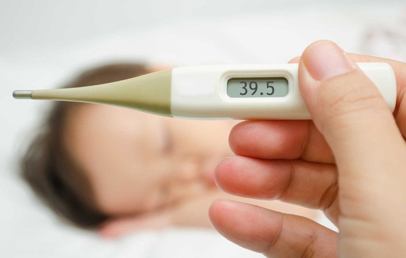 tía tô hạ sốt cho trẻ em