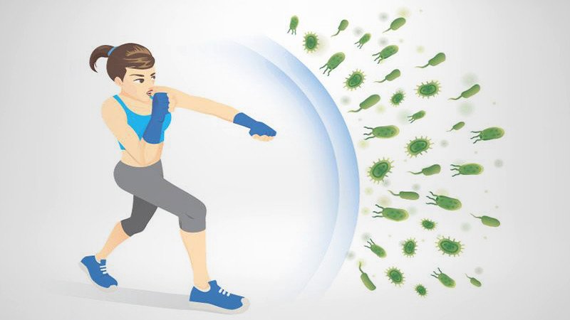 Tổng hợp công dụng sức khỏe của quả bí xanh
