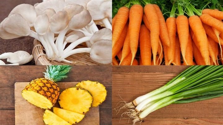 Tổng hợp nguyên liệu tươi cho món cách xào nấm bào ngư chay