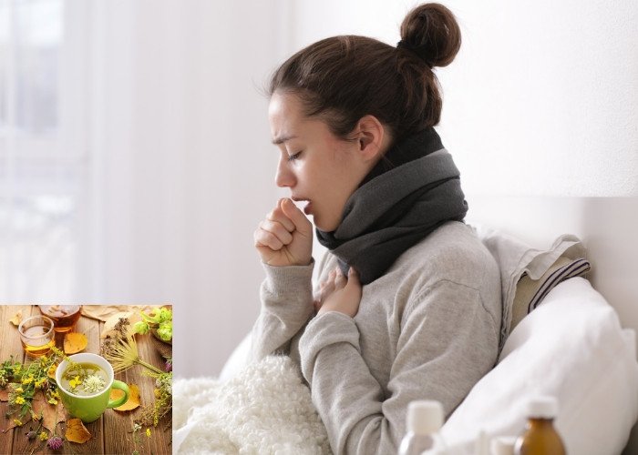 Trà la nam 10 vị giúp giảm ho và cảm lạnh