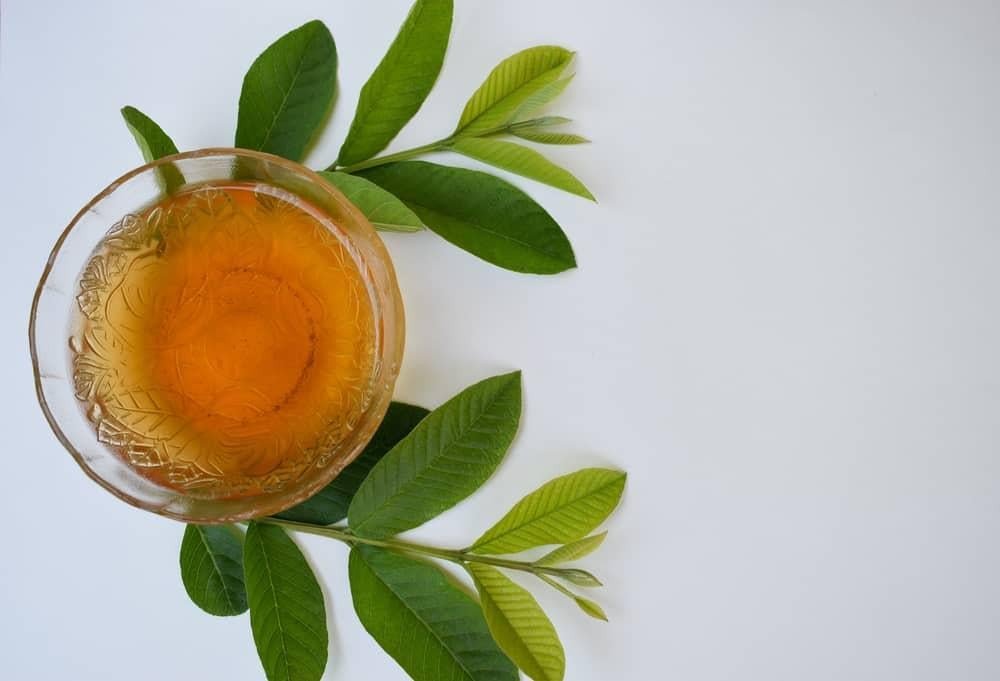 Trà lá ổi pha cùng chanh tươi, thức uống thanh mát hỗ trợ kiểm soát cân nặng