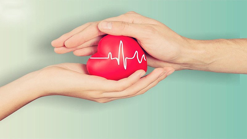 Trái tim được đặt trên hạt bí đỏ, nhấn mạnh lợi ích bí đỏ cho sức khỏe tim mạch