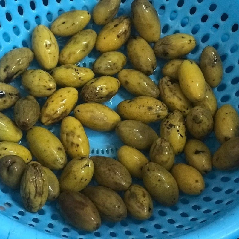 Trám xanh đã ngâm và cắt đôi, chuẩn bị làm thịt kho trám