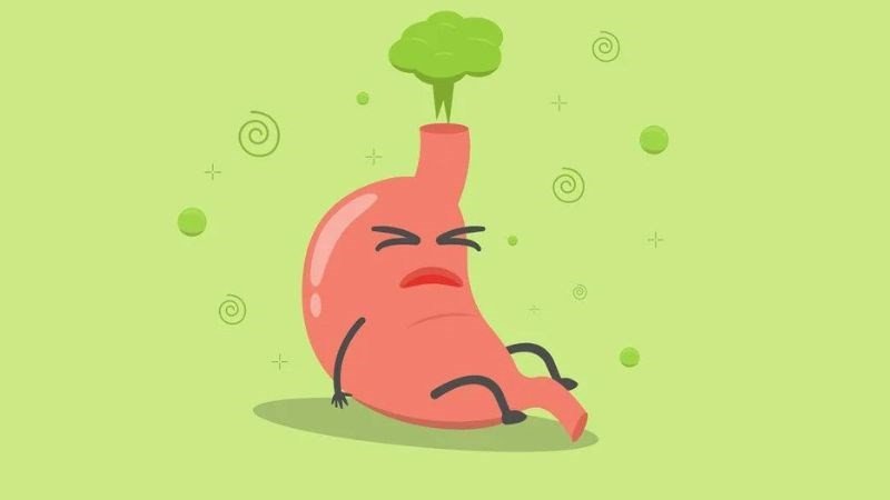 Tránh đầy hơi khi ăn ổi do hàm lượng fructose.