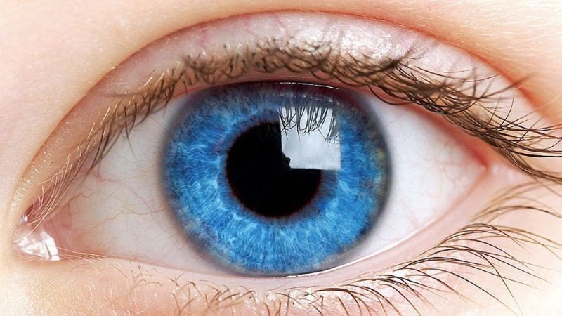 Trứng gà giàu chất chống oxy hóa có lợi cho sức khỏe đôi mắt