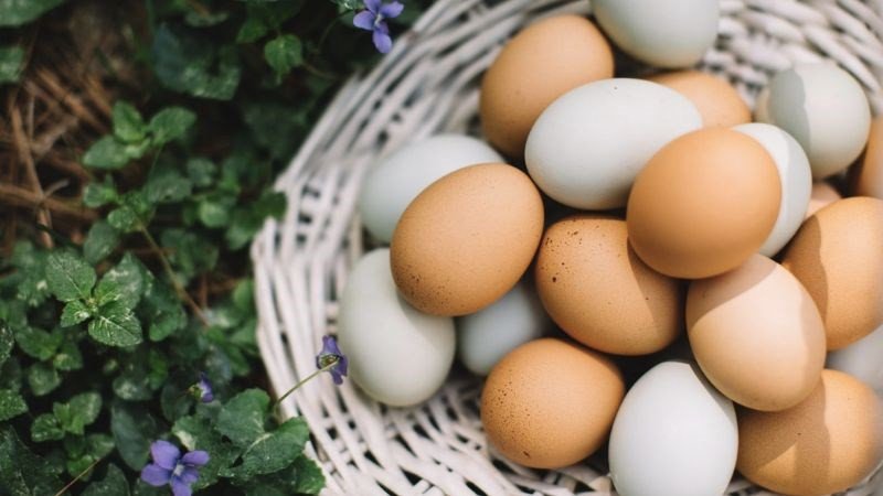 Trứng gà giúp cải thiện mức cholesterol tốt trong cơ thể