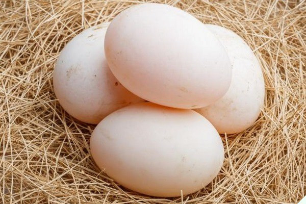 Trứng vịt luộc chín làm thịt kho tàu