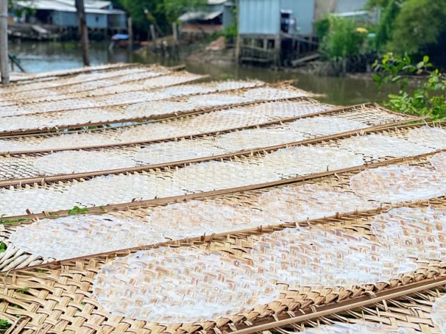 Bánh Tráng Muối Nhuyễn Bao Nhiêu Calo? Ăn Thế Nào Để Không Lo Tăng Cân Từng miếng bánh tráng mỏng ngon, nguyên liệu chính của món bánh tráng muối nhuyễn