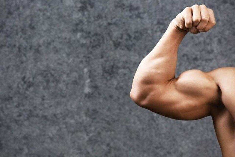 Ức gà giúp xây dựng cơ bắp