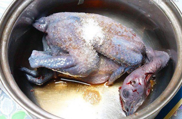 Ướp gà ác với gia vị cho ngấm đều trước khi hầm