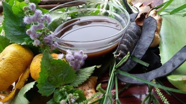 vỏ bưởi và bồ kết phơi khô chuẩn bị để nấu nước gội đầu