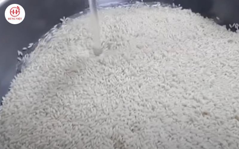 Vo sạch gạo nếp kỹ càng