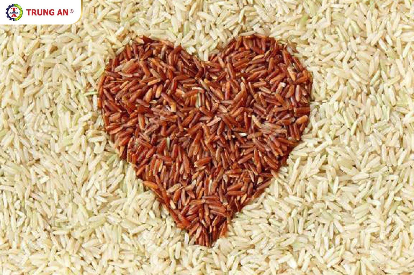 Xôi gạo lứt tốt cho tim mạch