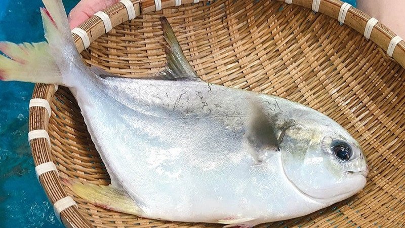 Bảo quản cá chim đúng cách trong tủ lạnh