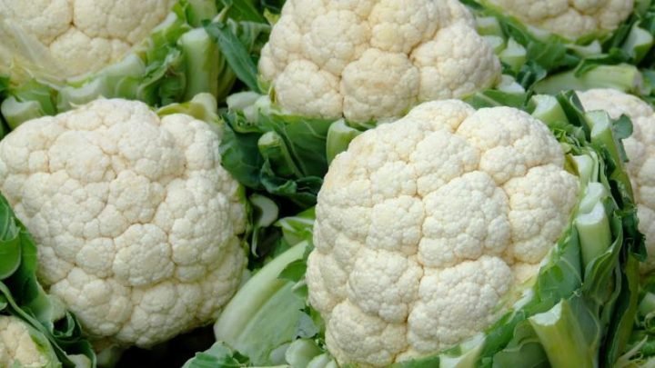 Bông cải trắng tươi có hàm lượng calo thấp, khoảng 23-28 calo mỗi 100g