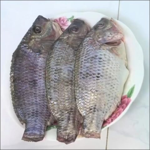 Cá rô đồng tươi ngon đã được sơ chế sạch sẽ để nấu bún cá rô đồng rau cải