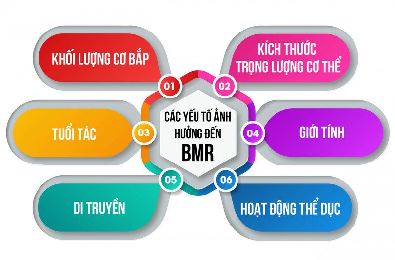 Các yếu tố ảnh hưởng đến tiêu hao năng lượng