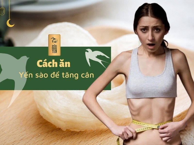 Cách ăn yến sào để tăng cân, yến sào hỗ trợ tăng cân, 100g yến bao nhiêu calo