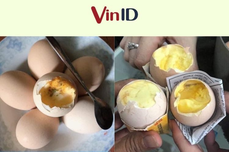 Cần sáng suốt và cẩn trọng khi lựa chọn, sử dụng trứng gà ấp dở
