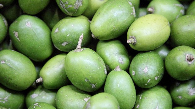 Cóc và ổi tươi không nên ăn khi bụng đói, thông tin về nước ép cóc ổi bao nhiêu calo