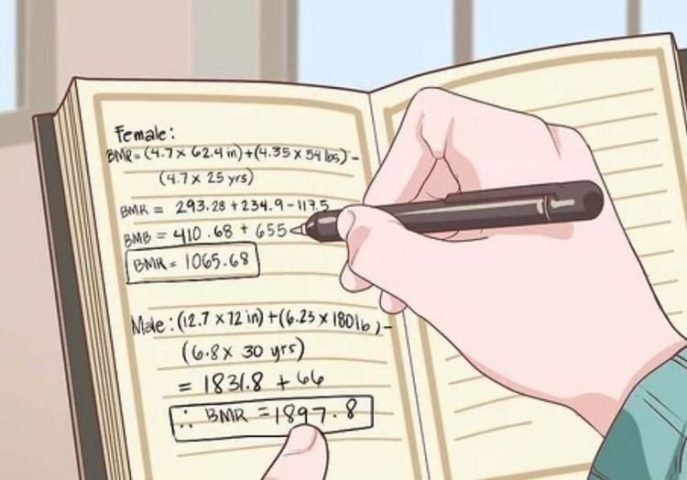 Công thức Harris-Benedict giúp tính toán một ngày tiêu thụ bao nhiêu calo