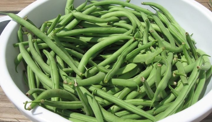 Đỗ tươi xanh mướt chuẩn bị cho món đỗ xào thơm ngon, ít calo