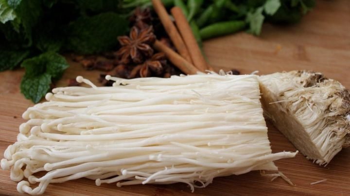 Giá trị dinh dưỡng của nấm kim châm trong khẩu phần ăn hàng ngày