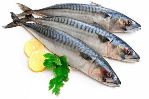 Hình ảnh cá thu tươi ngon giàu dinh dưỡng, minh họa giá trị calo và protein của cá