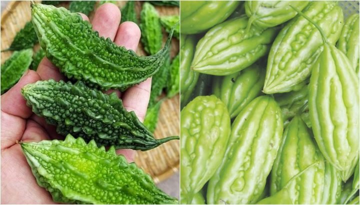 khổ qua tươi ngon đầu tròn, vân rõ ràng