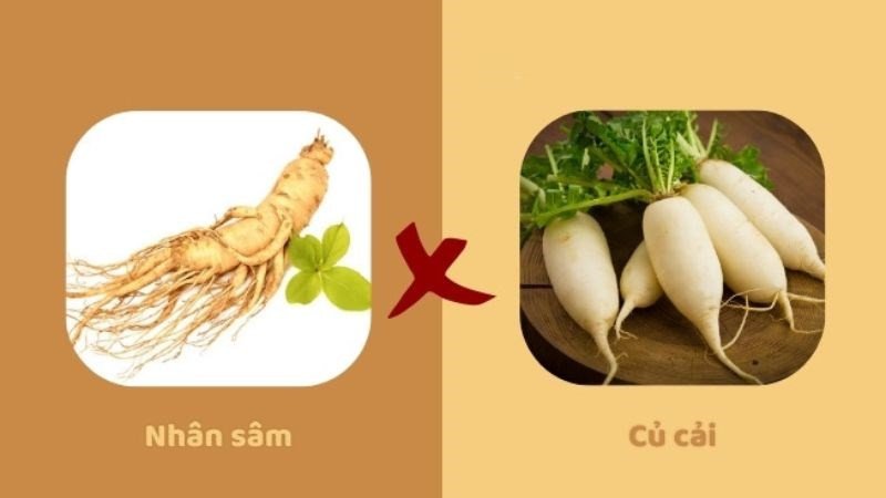 Không nên ăn củ cải đỏ với nhân sâm để đảm bảo công dụng