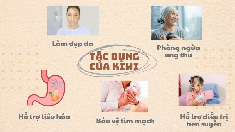 Kiwi đem lại nhiều lợi ích cho sức khỏe