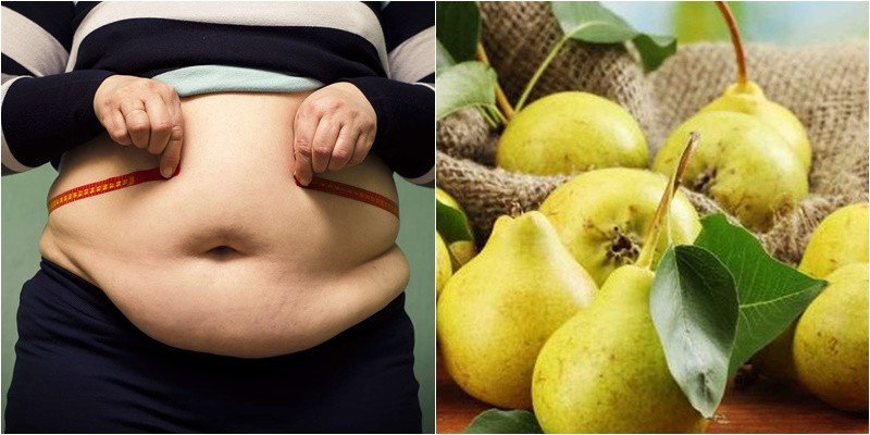 Lê có hàm lượng chất xơ cao, ít calo, không gây béo
