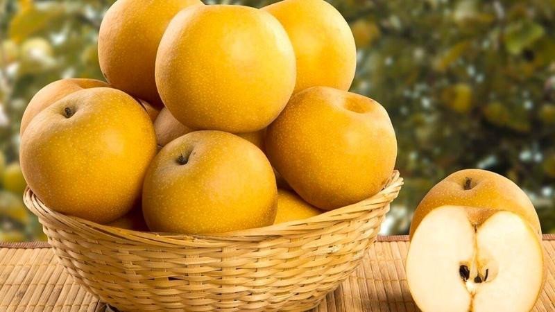 Lợi ích sức khỏe khi ăn quả lê