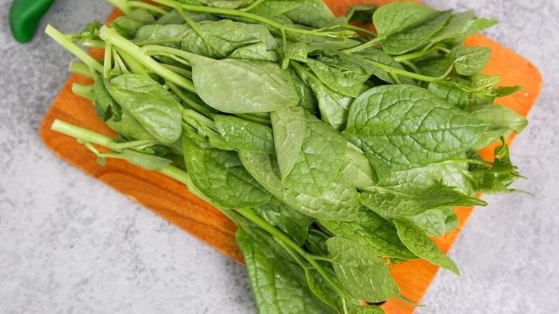 Lượng calo trong 100g rau mồng tơi